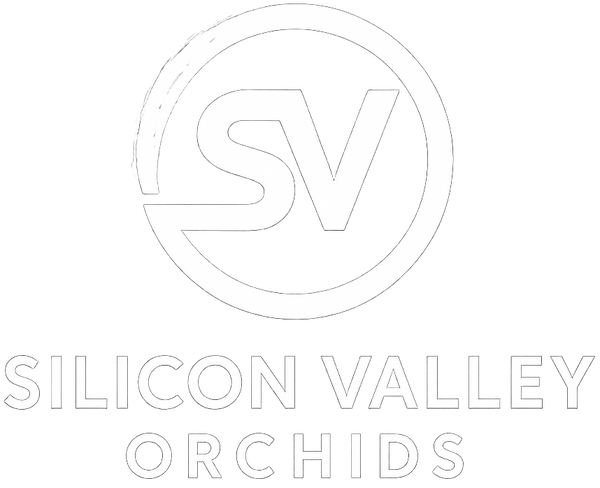 Silicon Valley Orchids